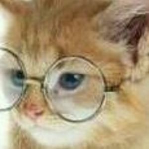 Meet your Posher, Hilda